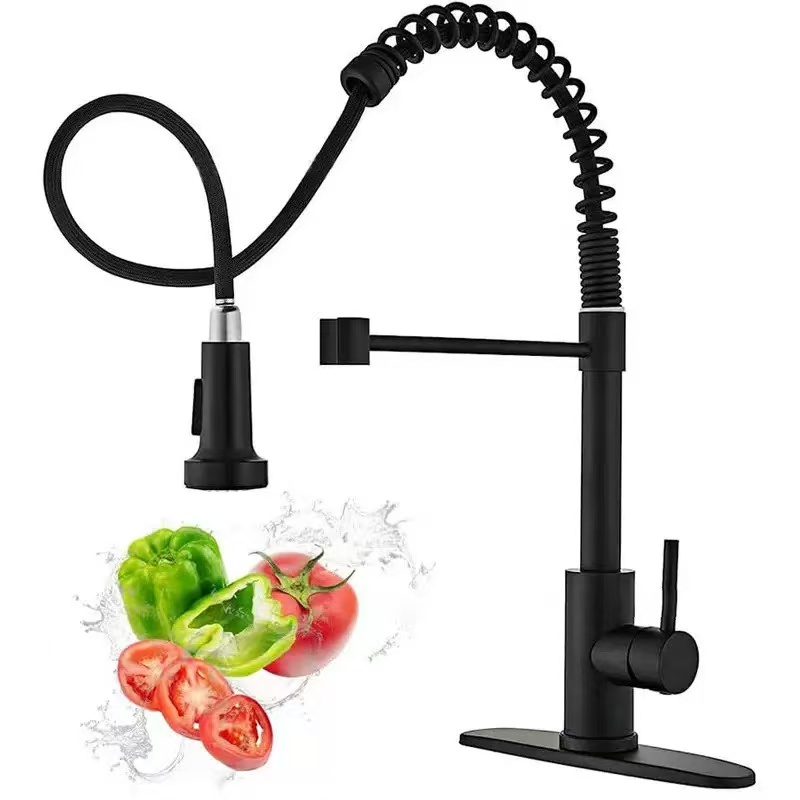 Stainless steel kitchen faucet - đánh giá và giá Kitchen Appliances White